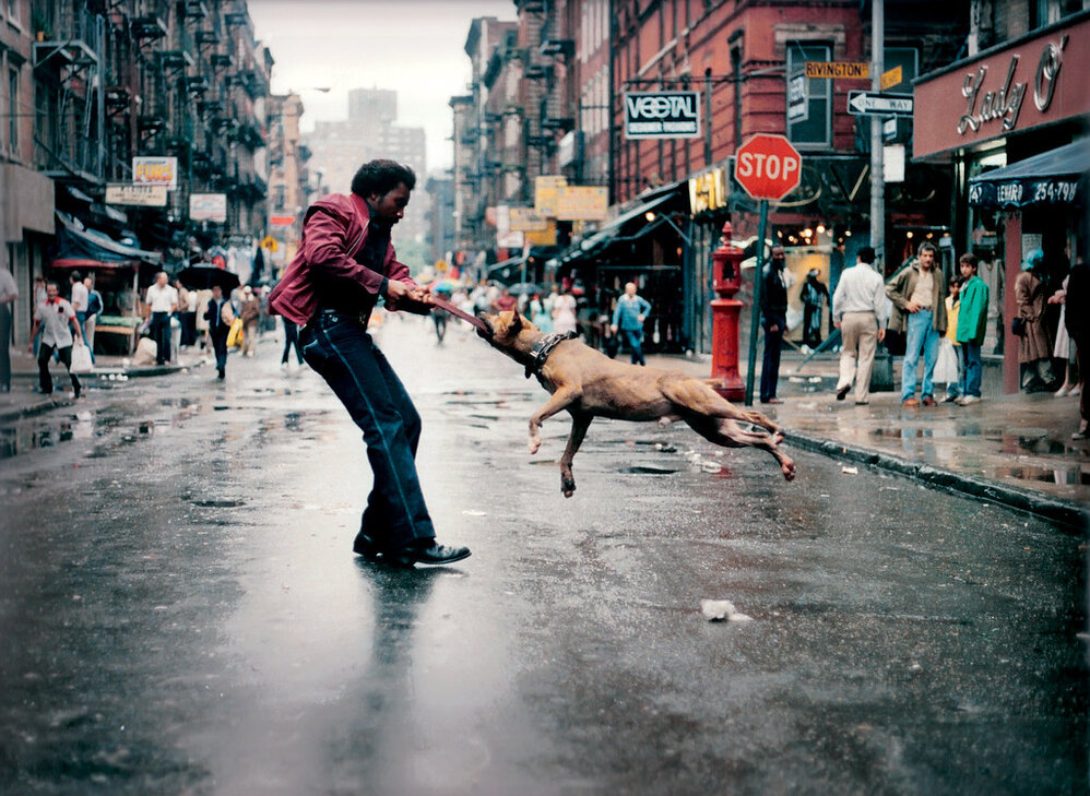 jamel shabazz  ジャメルシャバズ Jamel Shabazz: The eye of NYC's Streets | The Independent